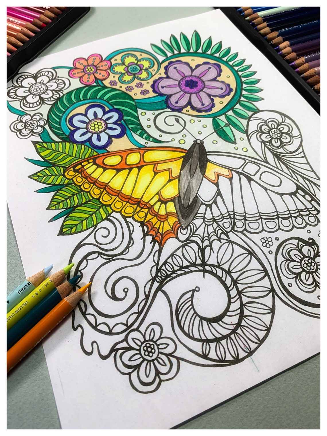 Butterfly Printable Coloring Page Adult Coloring Page Teen - Etsy