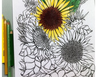 Sunflower Printable Coloring Page, Flower Art, Digital Download, Sunflowers Adult Coloring, Meditative Hobby, Floral Design Coloring Page