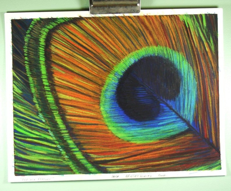  Peacock Feather Color Pencil Drawing Original Pencil Drawing Etsy