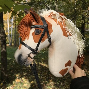 Realistic Horse, Hobby Horse Peppered With Bridle A4