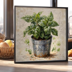 Albahaca como hierba de cocina para decorar la pared: una acuarela con marco cuadrado