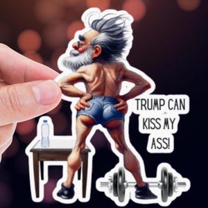 Funny political anti Trump sticker.