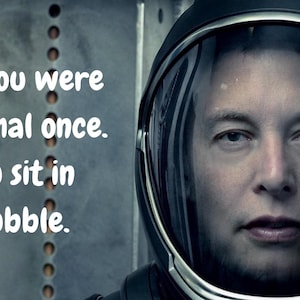 Funny Elon Musk sticker.