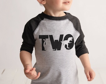 Dinosaur Birthday Shirt - Boys Second Birthday Dino Tshirt - Dino Birthday Shirt - Grey Raglan Dinosaur 2nd Birthday Shirt - Dino Two Shirt