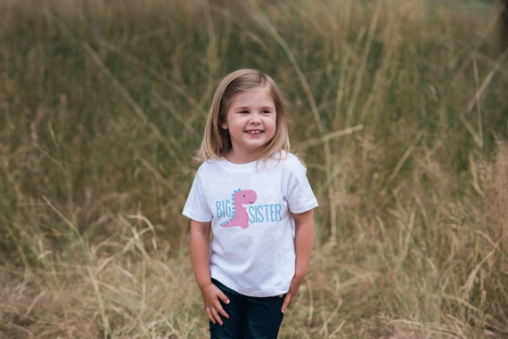 Big Sister Shirt - Dinosaur Big Sis Onepiece or Tshirt - Toddler, Youth - Big/Little Sister Sibling Shirt - Pink Dino Kids Matching Shirts Il_570xn