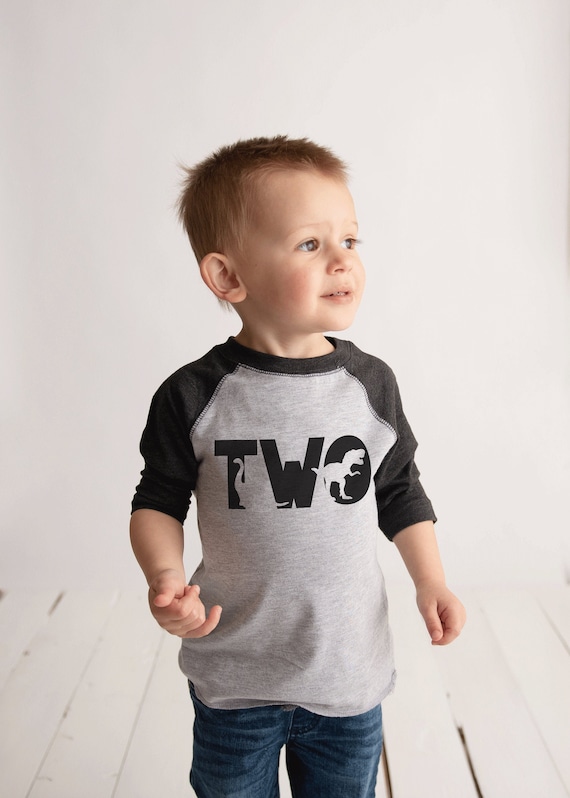 Dinosaur Birthday Shirt - Boys Second Birthday Dino Tshirt - Dino Birthday Shirt - Grey Raglan Dinosaur 2nd Birthday Shirt - Dino Two Shirt Il_570xn