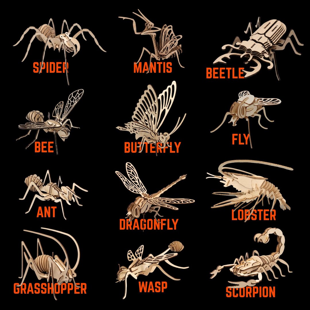 Mega 12 Insects 3D Puzzle Laser Cut Bundle – Wooden Models (digital ...
