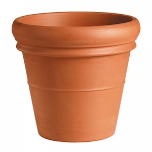 Può includere: Vaso di terracotta con un bordo largo e una base leggermente svasata.