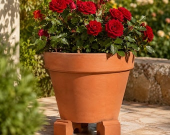 May include: A terracotta plant pot with a wide rim and three sturdy feet, containing a dense bush of vibrant red roses with dark green leaves. The pot has a smooth, matte finish and a classic tapered shape, standing upright on a stone surface.