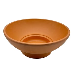 Può includere: Una ciotola rotonda color terracotta con un design ampio e poco profondo. La ciotola ha un bordo leggermente svasato e una base circolare rialzata. L'interno presenta un cerchio più piccolo e incassato. La ciotola è realizzata in materiale opaco e non smaltato.
