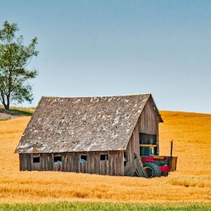 Impresión de granero de Palouse: paisaje de campos de trigo del estado de Washington