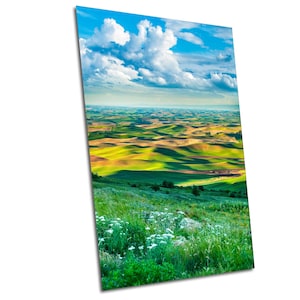 Impresión de los campos de trigo de Palouse: Vista de Steptoe Butte, arte mural del estado de Washington
