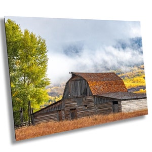 Moulton Barn, Grand Teton Nationalpark, Mormon Row, Herbstfarbe, Landschaft in Wyoming, Espen, Druck / Camvas / Acryl / Metall, Wyoming Wandkunst
