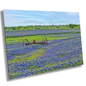 Bluebonnets, Bluebonnets with Farm Equipment, Bluebonnet Wall Art, Bluebonnet Wildflowers, Texas Bluebonnets, Texas Wildflowers, Landscape