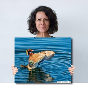 May include: A canvas print featuring a Wood Duck with outstretched wings on a blue water surface. The duck has a colorful plumage with red, green, and brown hues. The print measures 16x20 inches (41x51 cm).