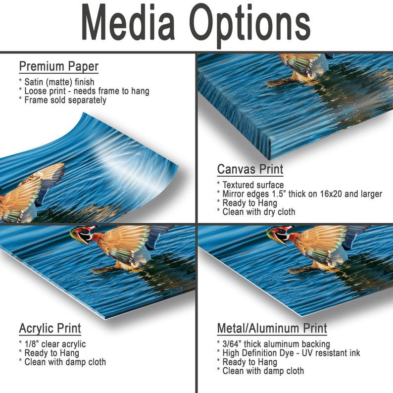 May include: Image showcasing four print options: Premium Paper, Canvas Print, Acrylic Print, and Metal/Aluminum Print. Each option features a vibrant image of a duck in water. Text details the finish, thickness, and care instructions for each print type.