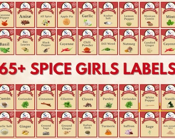 60+ Spice Girls Matching Halloween Shirt PNG, Group Halloween Shirt, Apron Png, Spice Group Girl Thanksgiving Costume PNG, Spice Labels Png