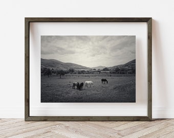HORSES VALLEY | instant download, printable photo, wall art, inspiration, travel, landscape, travel, adventure, black and white, mountain