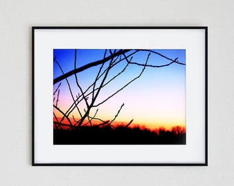 WINTER SKY | instant download, printable wall art, minimalist photography, landscape, nature, silhouette, modern, winter, tree, sunrise