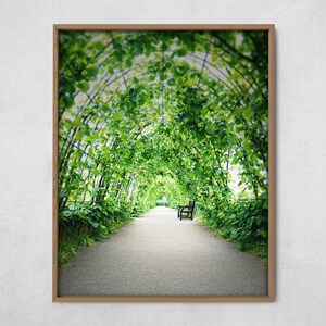 Efeu torbogen - Etsy.de