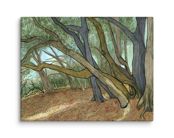 Serenade of Sunlight Canvas Print