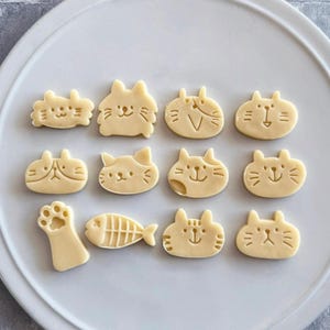 May include: A white plate with 12 cookies decorated with cat faces, paw prints, and a fish bone. The cookies are all different shapes and sizes.