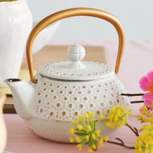 Elegant Nanbu Iron Teapot with Tea Strainer | Japanese Cast Iron Kyusu | Enamel-Coated | 320ml | Made in Japan,Iron Tea Kettle,Kitchen Decor