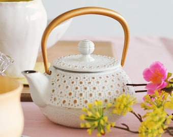 Elegant Nanbu Iron Teapot with Tea Strainer | Japanese Cast Iron Kyusu | Enamel-Coated | 320ml | Made in Japan,Iron Tea Kettle,Kitchen Decor
