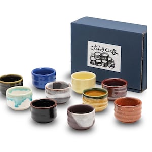 Fukubeya Boar Mouth Sake Cup Set of 10 – Mino Ware Japanese Guinomi | Colorful Retro Earthenware | Gift Boxed Drinkware for Sake Lovers