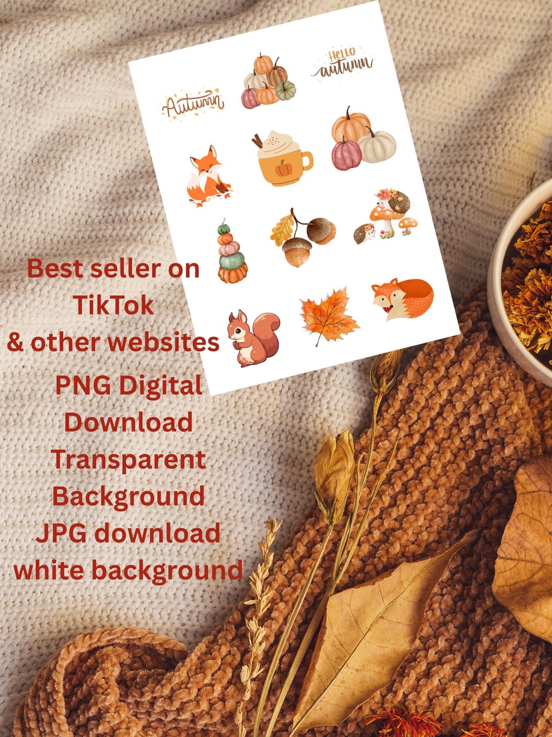 Autumn Sticker Sheet PNG, Cute Digital Stickers for Planners Journals ...