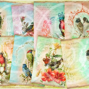 Oh Birds  ATC Cards, Vintage Tags