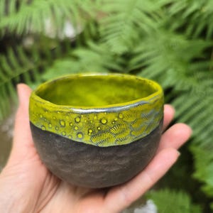 Puede incluir: Un cuenco de cerámica hecho a mano con una base marrón oscuro texturizada y un borde amarillo-verdoso moteado y vibrante. El borde presenta un patrón decorativo en forma de abanico. El cuenco se sostiene en una mano, con un fondo borroso de follaje verde.