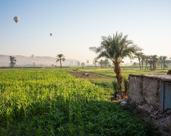 Sunrise in Luxor