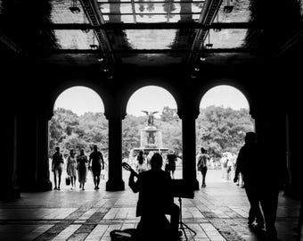 Concerto in Central Park
