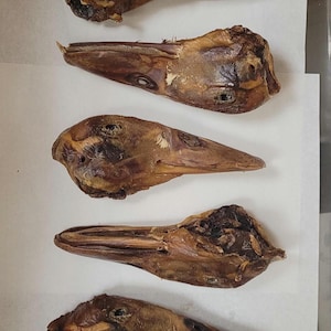 Hunde-Kaugummis - Getrocknete Entenköpfe