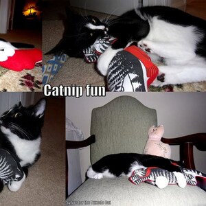 KLIBAN Cat fabric POWERFUL & AMAZING Organic Catnip Toys Set of 2 With or Without Catnip. image 8