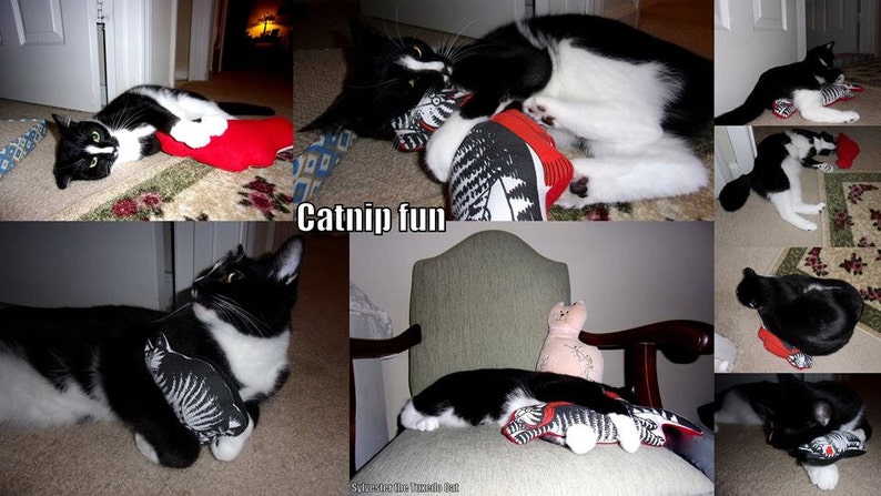 KLIBAN Cat fabric POWERFUL & AMAZING Organic Catnip Toys Set of 2 With or Without Catnip. image 8