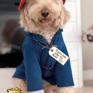 Blue Toggle Coat & Red Floppy Hat Famous Dog Costume image 8