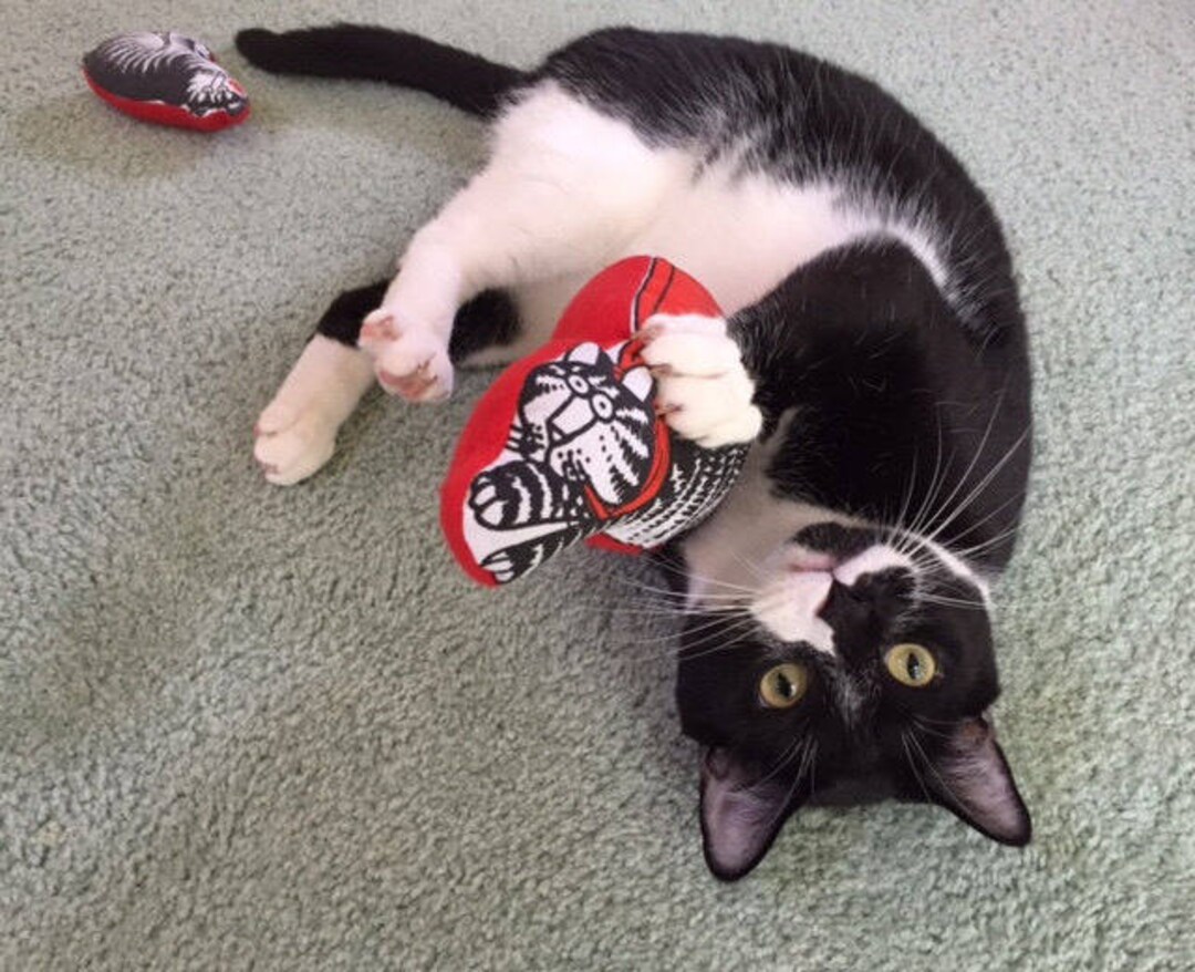 POWERFUL & AMAZING Organic Catnip Toys Set of 2 Etsy