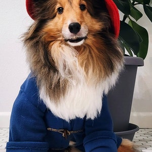 Blue Toggle Coat & Red Floppy Hat Famous Dog Costume image 7