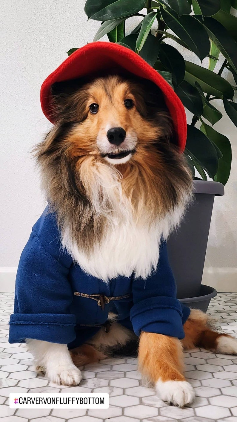 Blue Toggle Coat & Red Floppy Hat Famous Dog Costume image 7