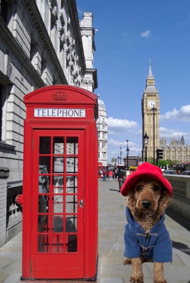 Pu&ograve; includere: Un cane marrone dal pelo riccio che indossa un cappello rosso e un montgomery blu si trova accanto a una cabina telefonica rosso brillante con la scritta TELEPHONE, con la torre dell'orologio del Big Ben visibile sullo sfondo sotto un cielo azzurro.
