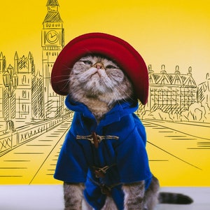Pu&ograve; includere: Un gatto soriano marrone indossa un cappello di feltro rosso brillante e un montgomery blu con cappuccio e alamari in legno. Lo sfondo &egrave; giallo con un disegno a linee nere della torre dell'orologio del Big Ben e dell'architettura di Londra.
