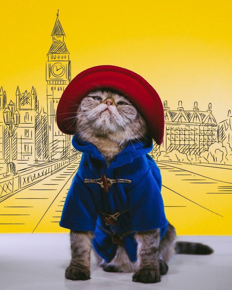 Pu&ograve; includere: Un gatto soriano marrone indossa un cappello di feltro rosso brillante e un montgomery blu con cappuccio e alamari in legno. Lo sfondo &egrave; giallo con un disegno a linee nere della torre dell'orologio del Big Ben e dell'architettura di Londra.