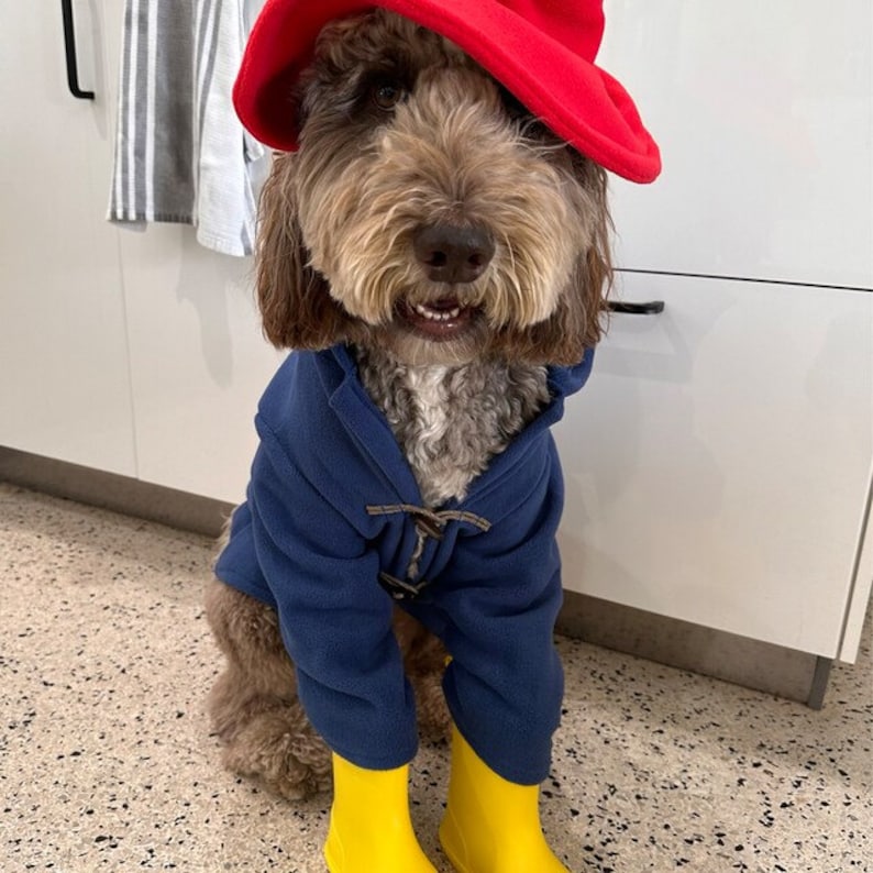 Blue Toggle Coat & Red Floppy Hat Famous Dog Costume image 6