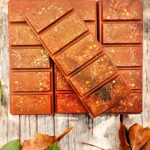 Outdoor Adventures - Wax Melt Snap Bar - 1.8 oz - Soy Olive Wax Blend - Strong Scented