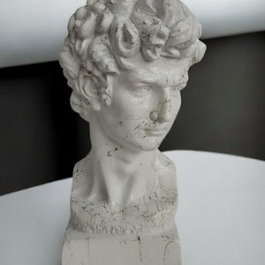 Large David Sculpture Statue, David Bust Statue, Gold Effect Bust, White Sculpture, Roman Sculpture Statues, Greek Bust Statue,Modern Gift