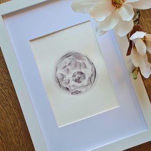 Disegno di embrione personalizzato, decorazione murale ad acquerello con arte fecondazione in vitro per bambini, regalo per baby shower con ecografia, futura mamma in gravidanza