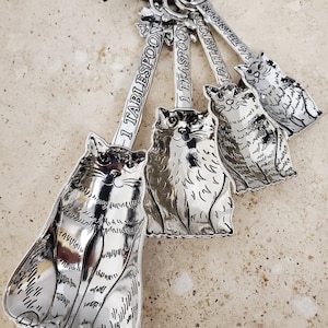 Kitty Cat Measuring Spoon Set