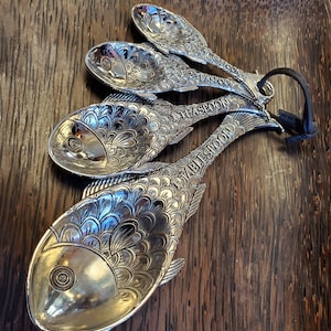 Fish Measuring Spoon Set